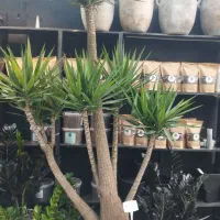 گل و گلدون فلزی