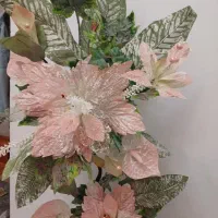 گل کنار سالنی