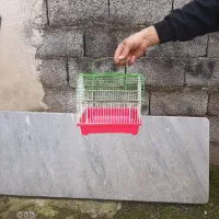 لوازم جانبی حیوانات