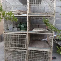 قفس اهنی