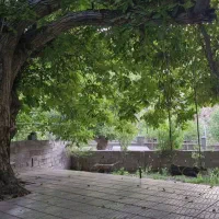اجاره ویلا، سوئیت و اتاق روزانه در بیدخوان