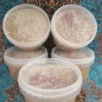ارده،حلوا معجون،ارده شکلاتی ارگانیک