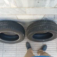 لاستیک بارز ۱۸۵/۶۰/۱۴ ساینا