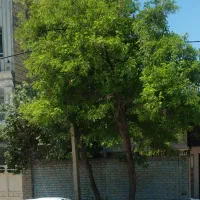 واحد-پیش-فروش105متری-در-کوثر