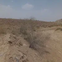 زمین ۴۰۰متر امام خمینی ۵۳ محمد اباد