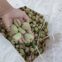 بادام