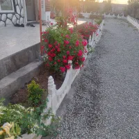 باغچه-دیواری-500-متری
