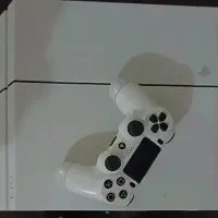 ps4. fat. 500 g سالم