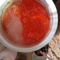 رب خانگی