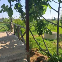 اجاره ویلا سوئیسی