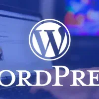 طراحی سایت با قیمت مناسب (ویژه پروژه های اولیه)