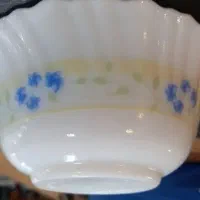 کاسه ماست خوری آرکوپال
