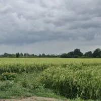 زمین-279متر-مربعی-تمام-مسکونی-با-18متر-بر-اصلی