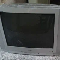 تلویزیون