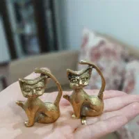 ۱جفت گربه برنجی