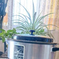 هیتر سنگ داغ ماساژ ۶ لیتری، سنگ ماساژ ۳۶ عددی