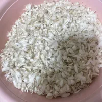 گل بهار نارنج