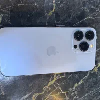 13pro