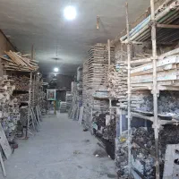قالب بست داربست تخته لوله داربست قوطی