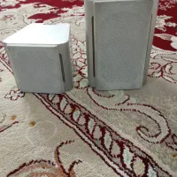 باند الجی
