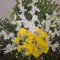 سبد گل طبیعی