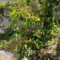 آپارتمان ۱۶۰ متری دوخوابه حیاط اختصاصی خاقانی