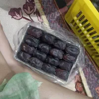خرما مضافتی