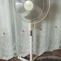 پنکه سالم