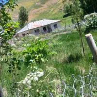 200متر قابل ساخت روستایی ازادبر