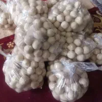 کشک گوسفندی