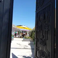 خدمات توانبخشی در سالمندان ساحل(شهریه توافقی)