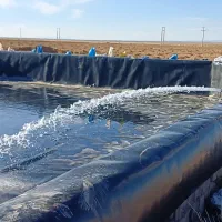 اجاره استخر پرورش ماهی