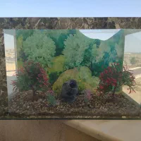 آکواریوم ماهی