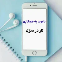 استخدام بانوان در خانه