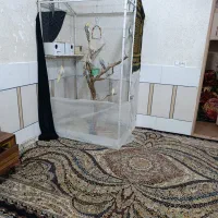 قفس پرنده