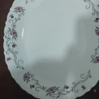 ظروف پذیرای