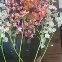 ۵شاخه گل خارجی سالم و تمیز