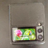 Samsung' Flip 3 256 g|موبایل|اصفهان, مسجد مصلی|دیوار