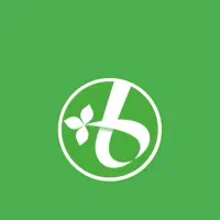 پیکان وانت همراه با راننده