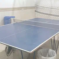 میز پینگ پنگ