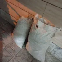 نان خشک