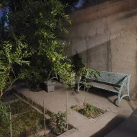 زمین-فروشی-سند-اوقاف-تفکیک-شده