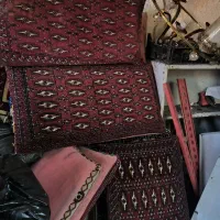 ۱۵ عدد پشتی سالمه