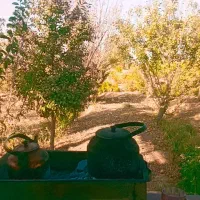 خودرو معاوضه با اپارتمان یاباغ