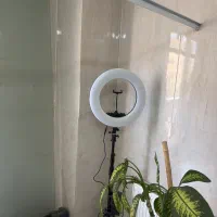 رینگ لایت سی کارو