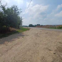 فروش-باغ-نارنگی-محلی-روستای-دارابکلا