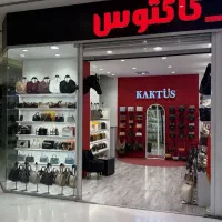 کیف کاکتوس