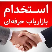 بازاریاب حرفه ای
