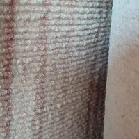 موکت ظریف مسور