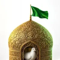 اطلاعیه.شروع پیش فروش تیرماه قطارهای شرکت رجا
